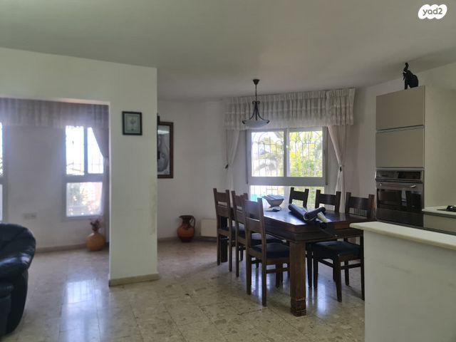 אריה דולצ'ין 