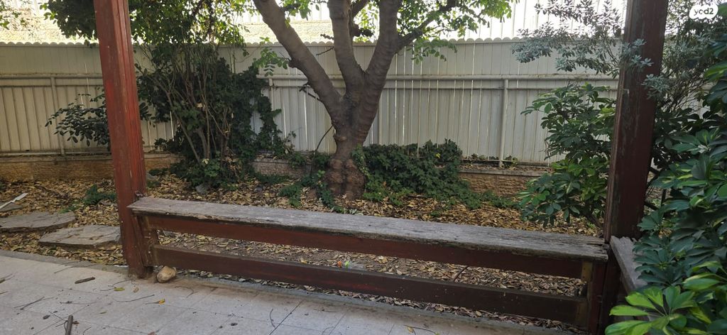 הרב שמעון אגסי 