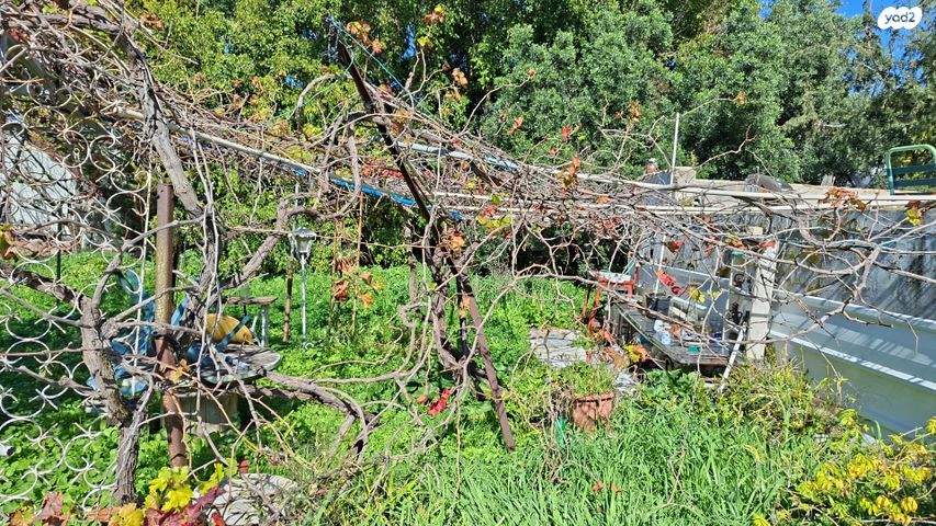 משק חקלאי/ נחלה