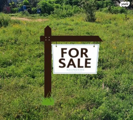 הרצליה פיתוח