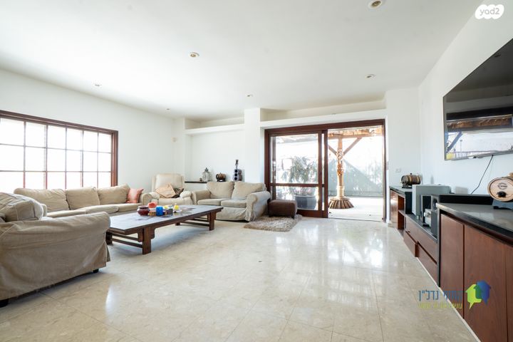 פנחס רוטנברג 