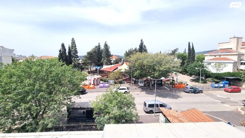 גבעת אלונים