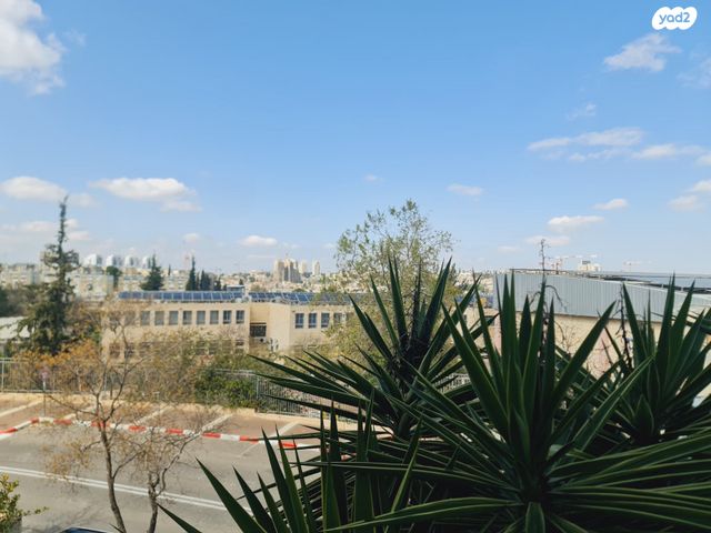 אריה דולצ'ין 