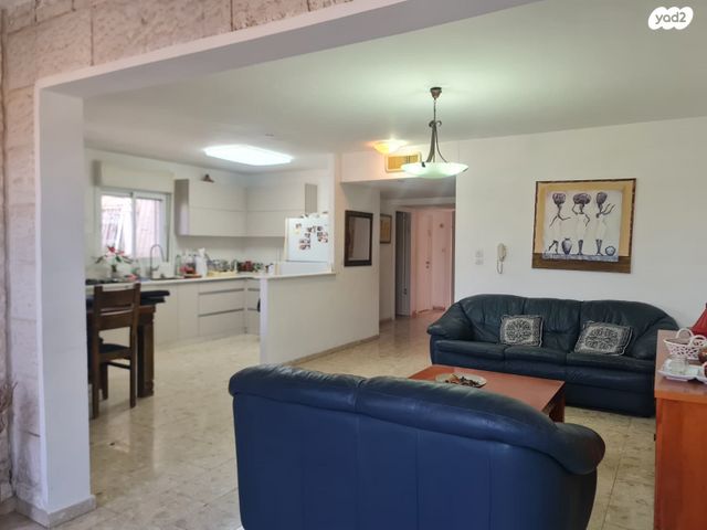 אריה דולצ'ין 