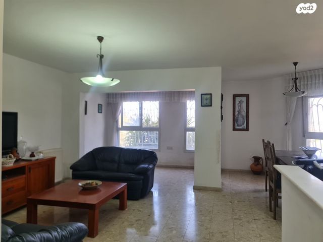 אריה דולצ'ין 