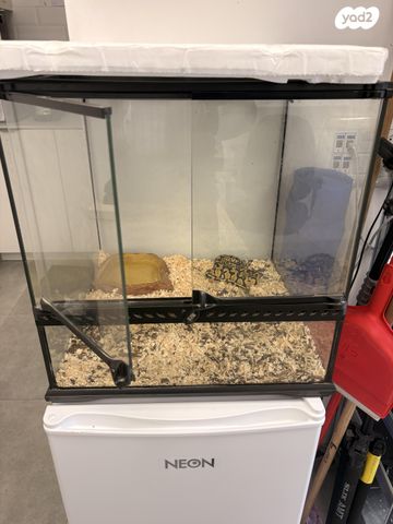 תמונת מודעה - חיות מחמד