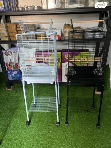 תמונת מודעה - חיות מחמד