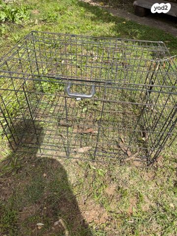 תמונת מודעה - חיות מחמד