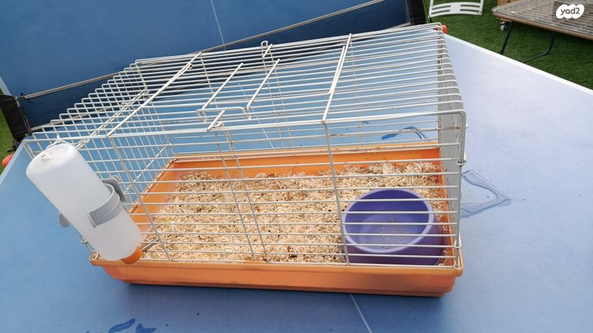 תמונת מודעה - חיות מחמד