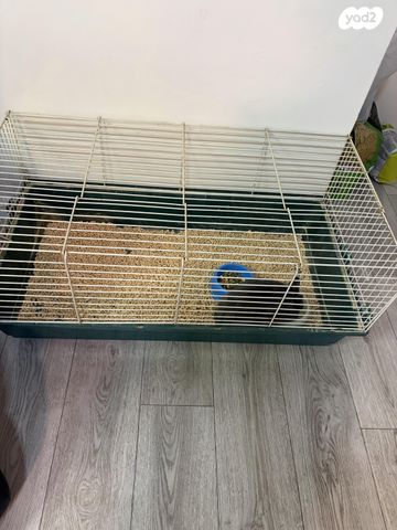 תמונת מודעה - חיות מחמד