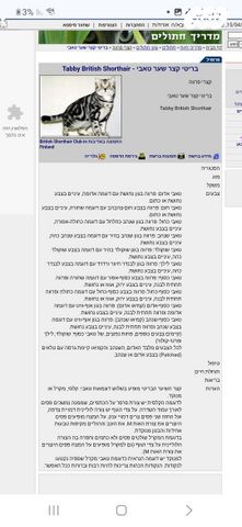 תמונת מודעה - חיות מחמד