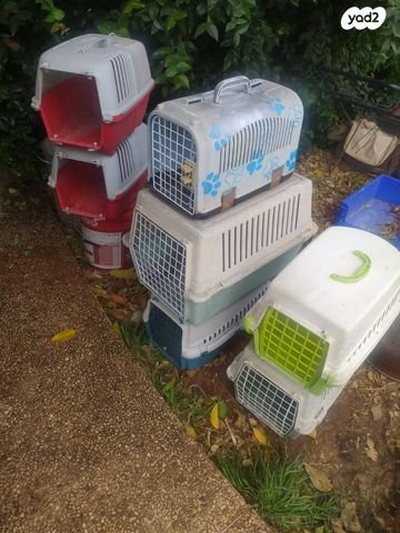 תמונת מודעה - חיות מחמד