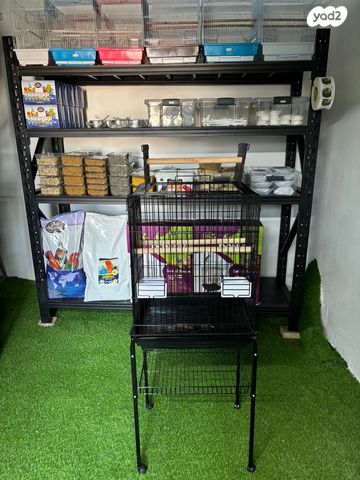 תמונת מודעה - חיות מחמד