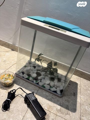 תמונת מודעה - חיות מחמד