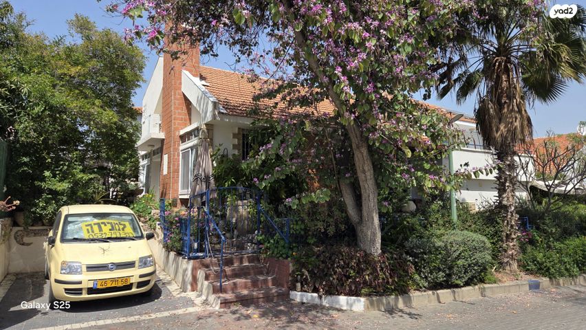 יהודה אלקלעי 3