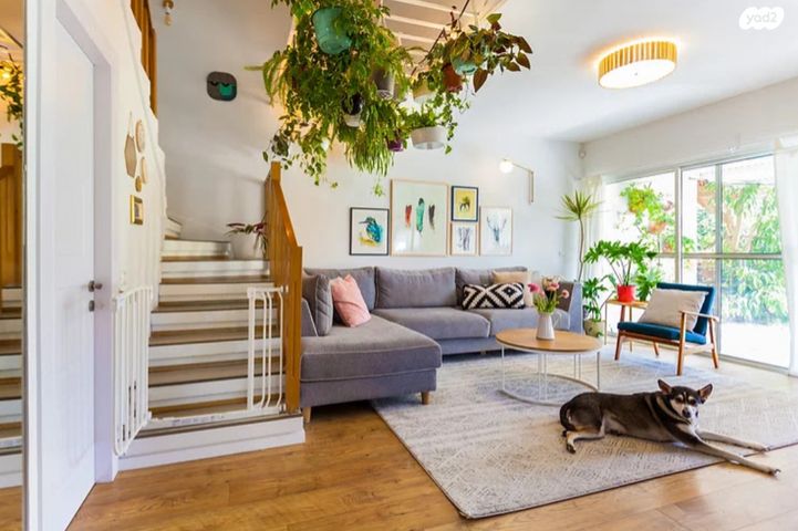 בן גוריון 26