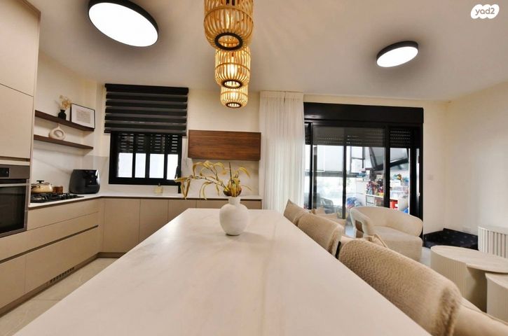 אריה בראון 6