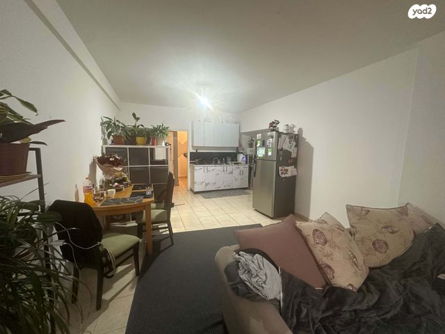 שמואל הנציב 42