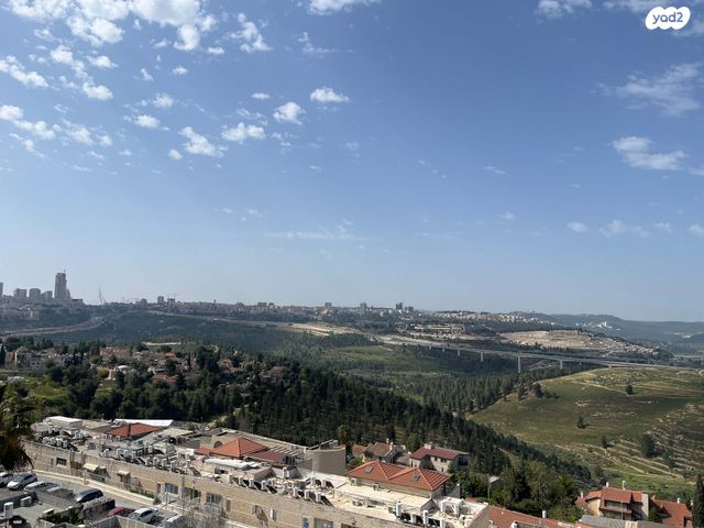 חיים גרינברג 7