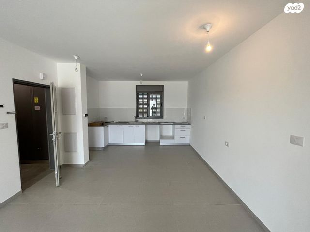 הרב דוד קדוש 2