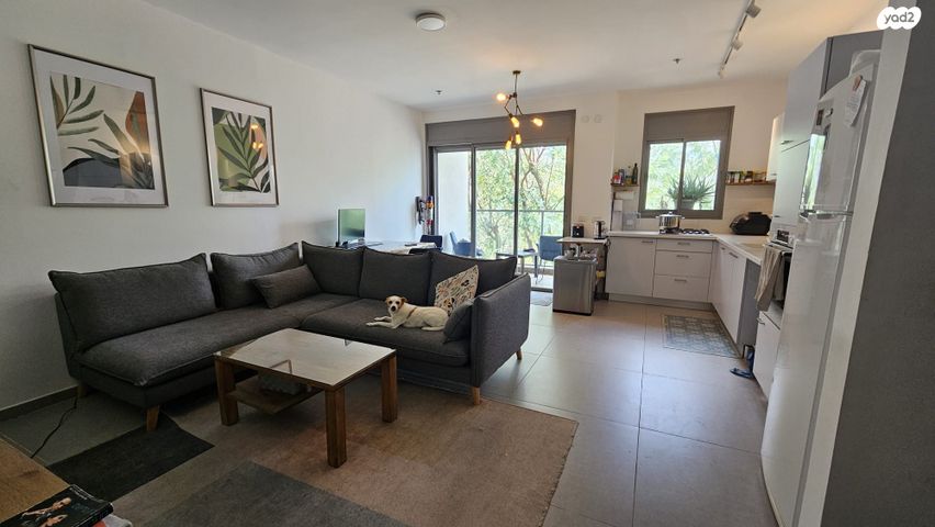 מעפילי אגוז 40