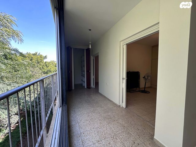 הרב הרצוג 11