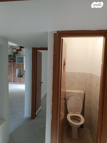 שער האריות 15