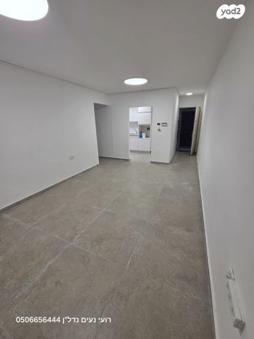 אריה מוצקין 