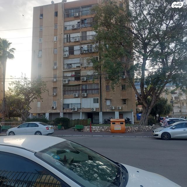 אלברט איינשטיין 