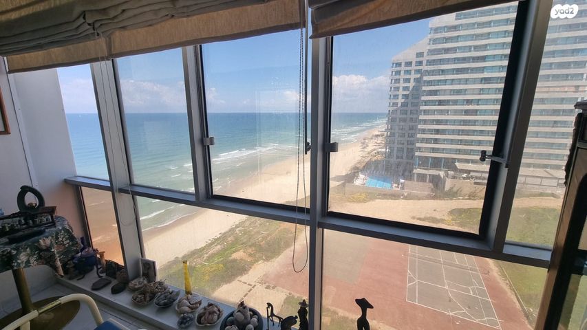 אלי לנדאו 60