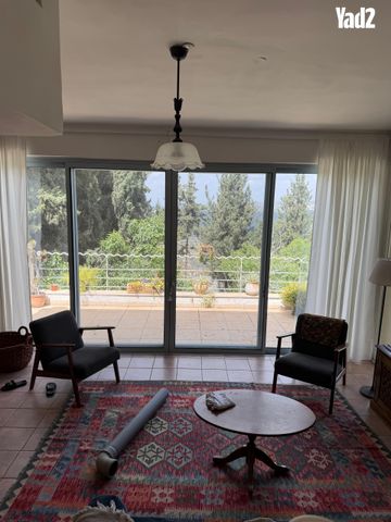 גפן