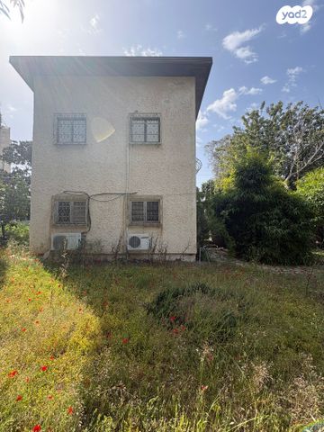 יהושע חנקין 