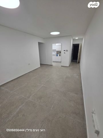 אריה מוצקין 