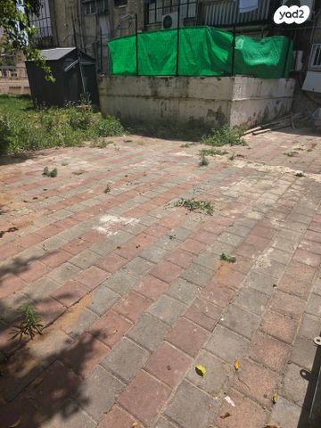 ברל כצנלסון 