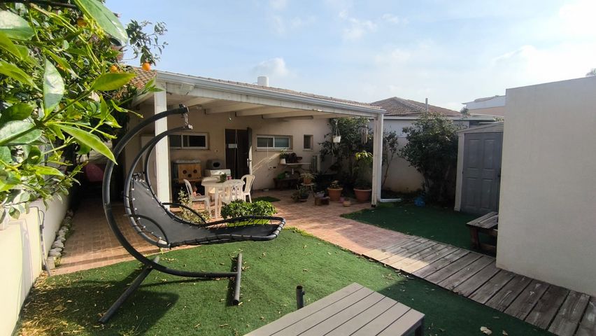 חבצלת השרון 81