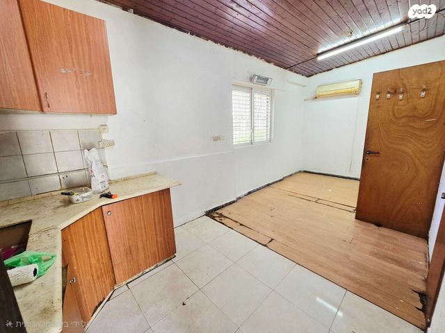 ברל כצנלסון 