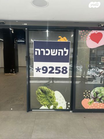 מנדלי מוכר ספרים 