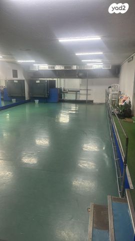 מלחמת ששת הימים 