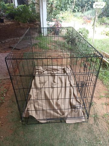 תמונת מודעה - חיות מחמד