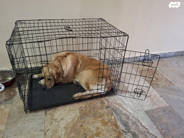 תמונת מודעה - חיות מחמד