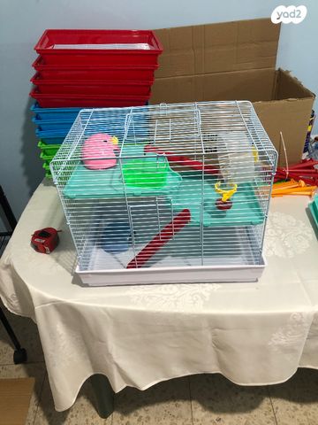 תמונת מודעה - חיות מחמד