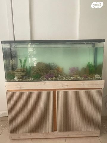 תמונת מודעה - חיות מחמד