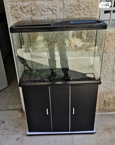 תמונת מודעה - חיות מחמד