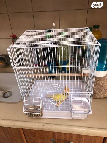 תמונת מודעה - חיות מחמד