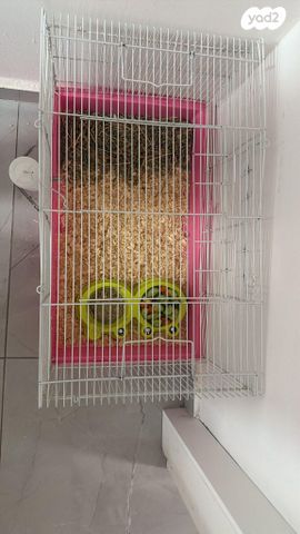 תמונת מודעה - חיות מחמד