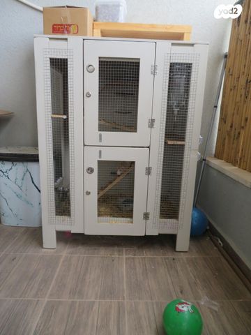 תמונת מודעה - חיות מחמד