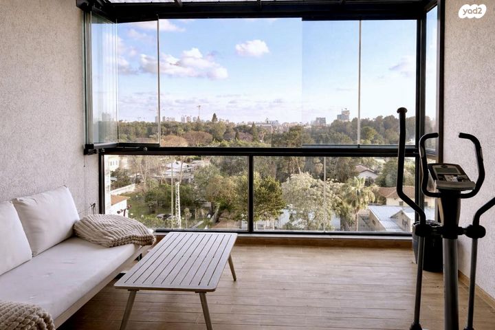 דוד וולפסון 17