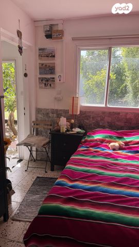 אלכסנדר זייד 45