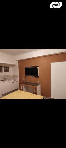 אלכסנדר זייד 31