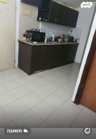 האקליפטוס 1